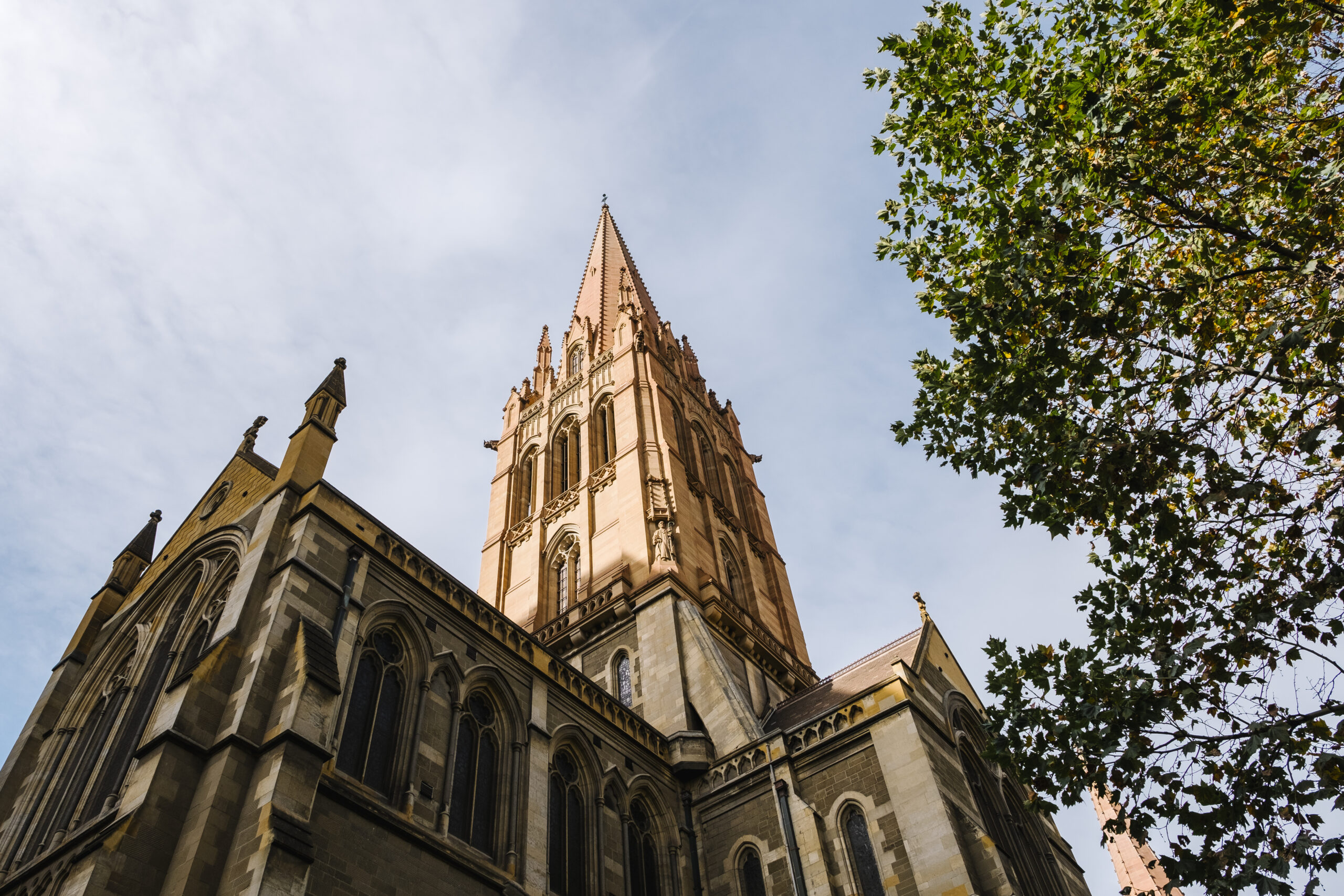 Upwards view of Church steeple and tree on a sunny day